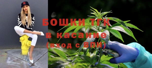 молекула духа Алексеевка