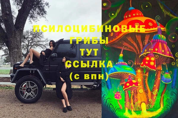 Альфа ПВП Алзамай