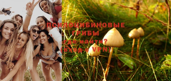 Альфа ПВП Алзамай